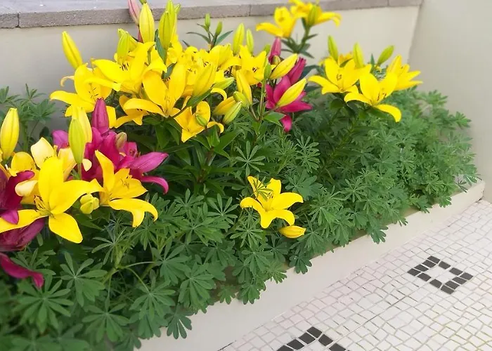 ヴィラ The Azores House *